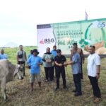 berita-semangat-berbagi-bank-sulutgo-salurkan-19-ekor-sapi-kurban-di-hari-raya-idul-adha-2026-2026-l